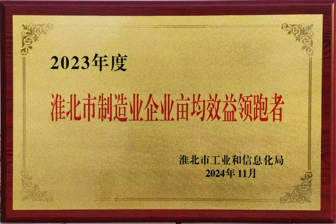 安徽理士荣获淮北市“亩均效益领跑者”称号